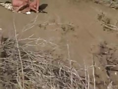 Pornusy darmowe plaża dla nudystów - masturbacja z watcher