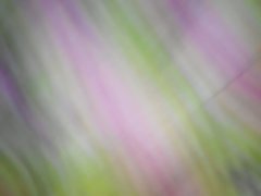 Darmowe sex filmy porno ukryta żona